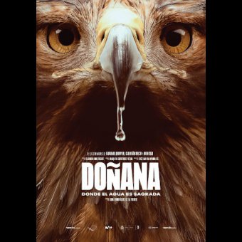 Película: 