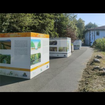 Ekoetxea - exposición sobre los bosques de ribera en Azpeitia